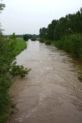 Hochwasser der Weißen Elster